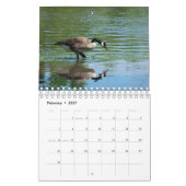 Photographie de Canards et d'Oies Calendrier 2021 (Feb 2027)