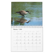 Photographie de Canards et d'Oies Calendrier 2021 (Feb 2026)