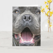 Photographie de carte de voeux de Corso de canne (Fleur jaune)