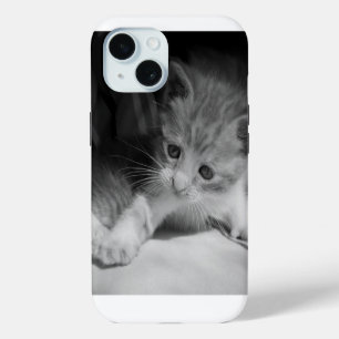 Photographie de chaton noir et blanc