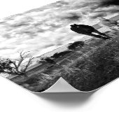 Photographie de Cheval Blanc Noir, Poster (Coin)