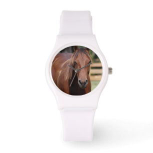 Photographie de cheval en montre