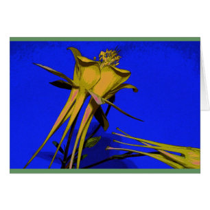 Photographie de colombin jaune