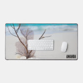 Photographie de Coquillages sur une plage de sable (Clavier et souris)