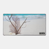 Photographie de Coquillages sur une plage de sable (Recto)