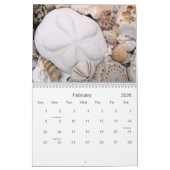 Photographie de coquillages tropicaux Calendrier d (Feb 2026)