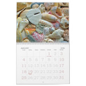 Photographie de coquillages tropicaux Calendrier d (Jan 2026)
