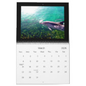 Photographie de dauphin de 2011 calendriers (Mar 2026)