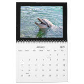 Photographie de dauphin de 2011 calendriers (Jan 2026)