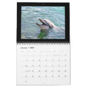 Photographie de dauphin de 2012 calendriers (Jan 2027)
