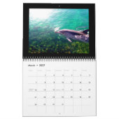Photographie de dauphin de 2012 calendriers (Mar 2027)