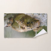 Photographie de faune de l'écureuil brun (Serviette à main)