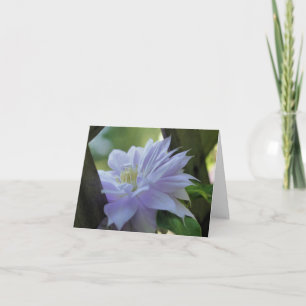 Photographie de fleur de clématite nichée