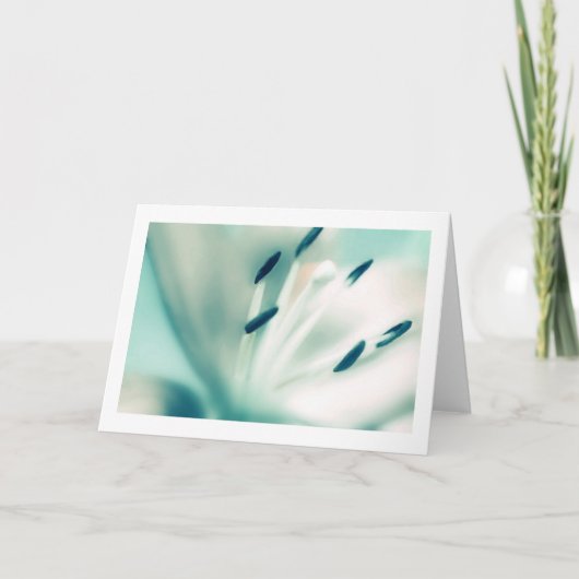 Photographie de fleur de Lily, cartes spéciales d' (Devant)
