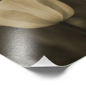 Photographie de fleur de Tulipe simple imprimer sé (Coin)