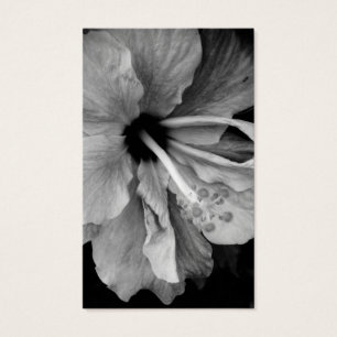 Photographie de fleur d'Hibiscus