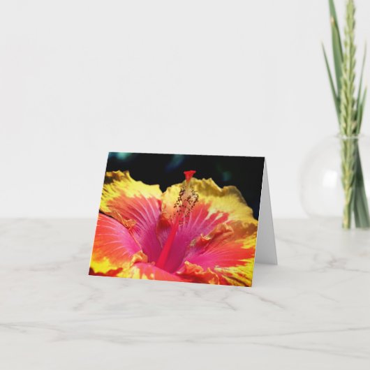 Photographie de fleur d'hibiscus jaune (Devant)