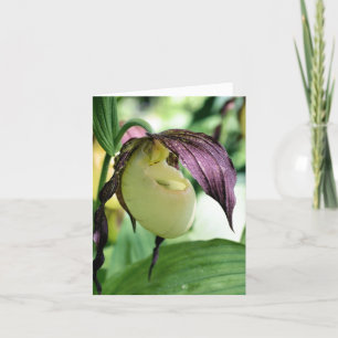 Photographie de fleur d'orchidée sabot de dame bla