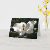 photographie de fleur magnolia carte de voeux art (Fleur jaune)