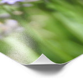 Photographie de fleurs de lavande et de papillon m (Coin)