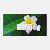Photographie de fleurs de plumeria (Clavier et souris)