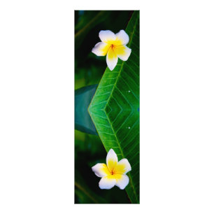 Photographie de fleurs de plumeria