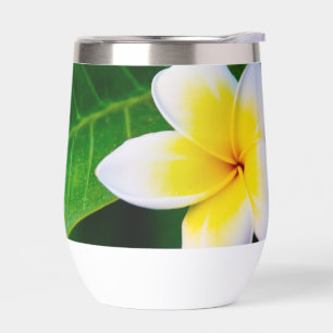 Photographie de fleurs de plumeria