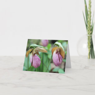 Photographie de fleurs d'orchidées Pink Lady Slipp