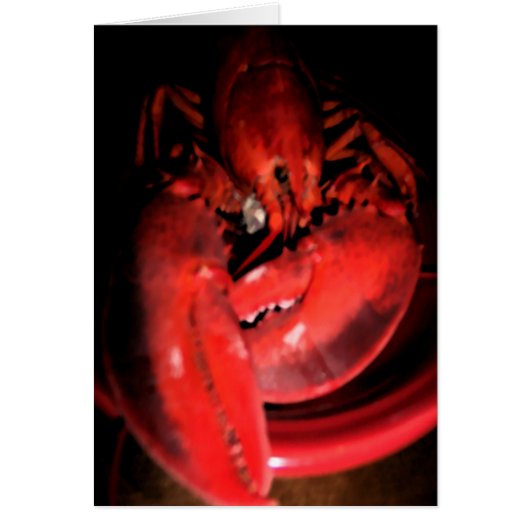 Photographie de homard (Devant)