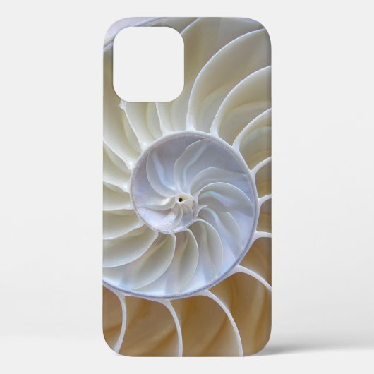Photographie de la coque de la mer de Nautilus (Verso)