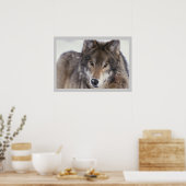Photographie de la faune Poster de loup gris 18x24 (Cuisine)