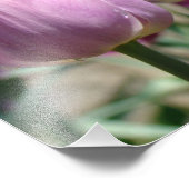 Photographie de la nature Impressions d'art mauve (Coin)