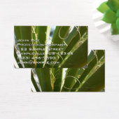 Photographie de la nature verte Feuille du Yucca (Bureau)