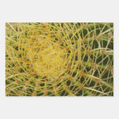 Photographie de la nature verte Feuille du Yucca (Devant 2)