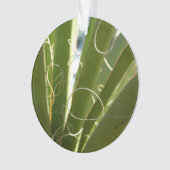 Photographie de la nature verte Feuille du Yucca (devant)