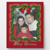 Photographie de la plaque de ruban et de ligament (Devant)