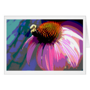 Photographie de l'échinacée rose