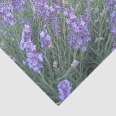 Photographie de nature du papier de soie de soie (Détail)