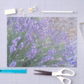 Photographie de nature du papier de soie de soie (Artisanat)