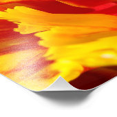 Photographie de nature Rouge Jaune Impression d'ar (Coin)
