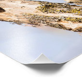 Photographie de Pic à ventre rouge féminin Imprime (Coin)