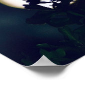 Photographie de Pleine lune Impression de l'affich (Coin)