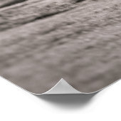 Photographie de poster de cheval (Coin)