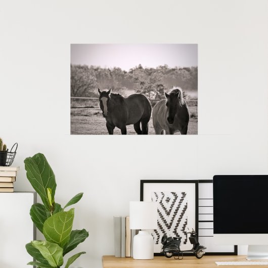 Photographie de poster de cheval (Bureau à domicile)