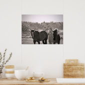 Photographie de poster de cheval (Cuisine)