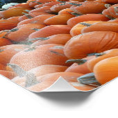 Photographie de récolte d'automne des citrouilles (Coin)