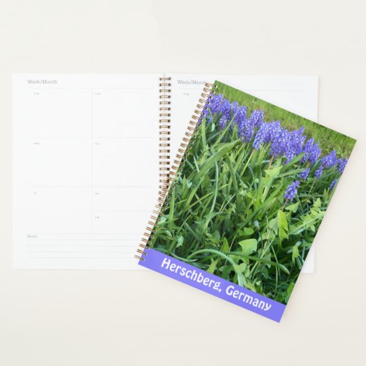 Photographie de Violet Bluebells - Herschberg, All (Devant avec enveloppe)