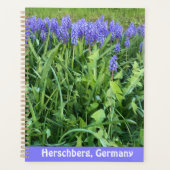 Photographie de Violet Bluebells - Herschberg, All (Devant)
