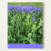 Photographie de Violet Bluebells - Herschberg, All (Dos)