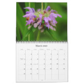 Photographie des abeilles et des fleurs Calendrier (Mar 2026)